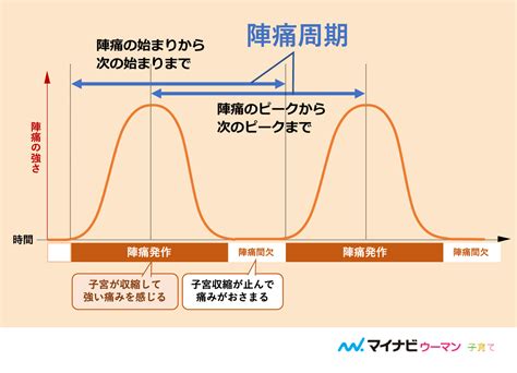 陣痛 位置|陣痛と分娩